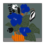 Ex Display - Cobalt Botanic 70cm x 70cm Framed Poster - Black Frame Wall Art Gioia-Local   