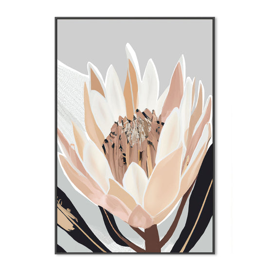 Cream Silver Protea, By Stacey Williams Wall Art Gioia-Local 40x60cm Framed Canvas Black