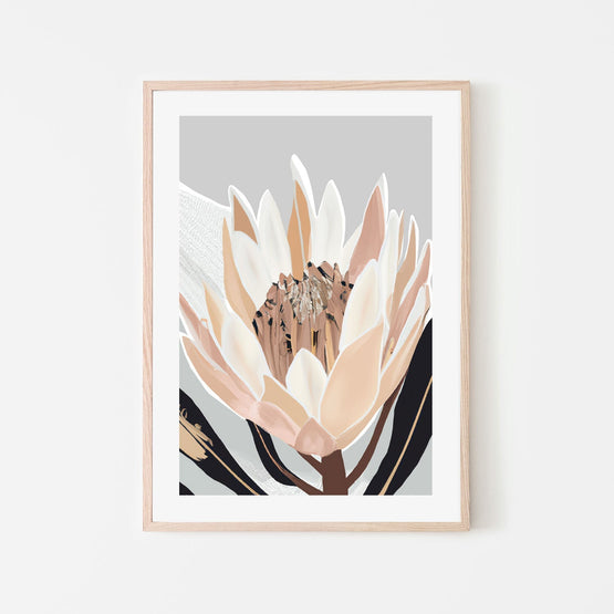 Cream Silver Protea, By Stacey Williams Wall Art Gioia-Local 40x60cm Framed Poster Black