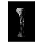 Elephant, By Jie Fischer Wall Art Gioia-Local 40x60cm Framed Canvas Black